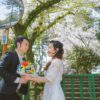 A happy couple sharing a moment under blooming cherry blossoms on a sunny spring day.