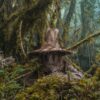 Spooky witch hat amidst dense mossy trees in Choachí, Colombia forest.