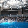A vibrant indoor aqua park with blue water and a lively crowd in Shinagawa, Tokyo.