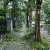 Street in Taipei affected by typhoon showing fallen branches and debris.
