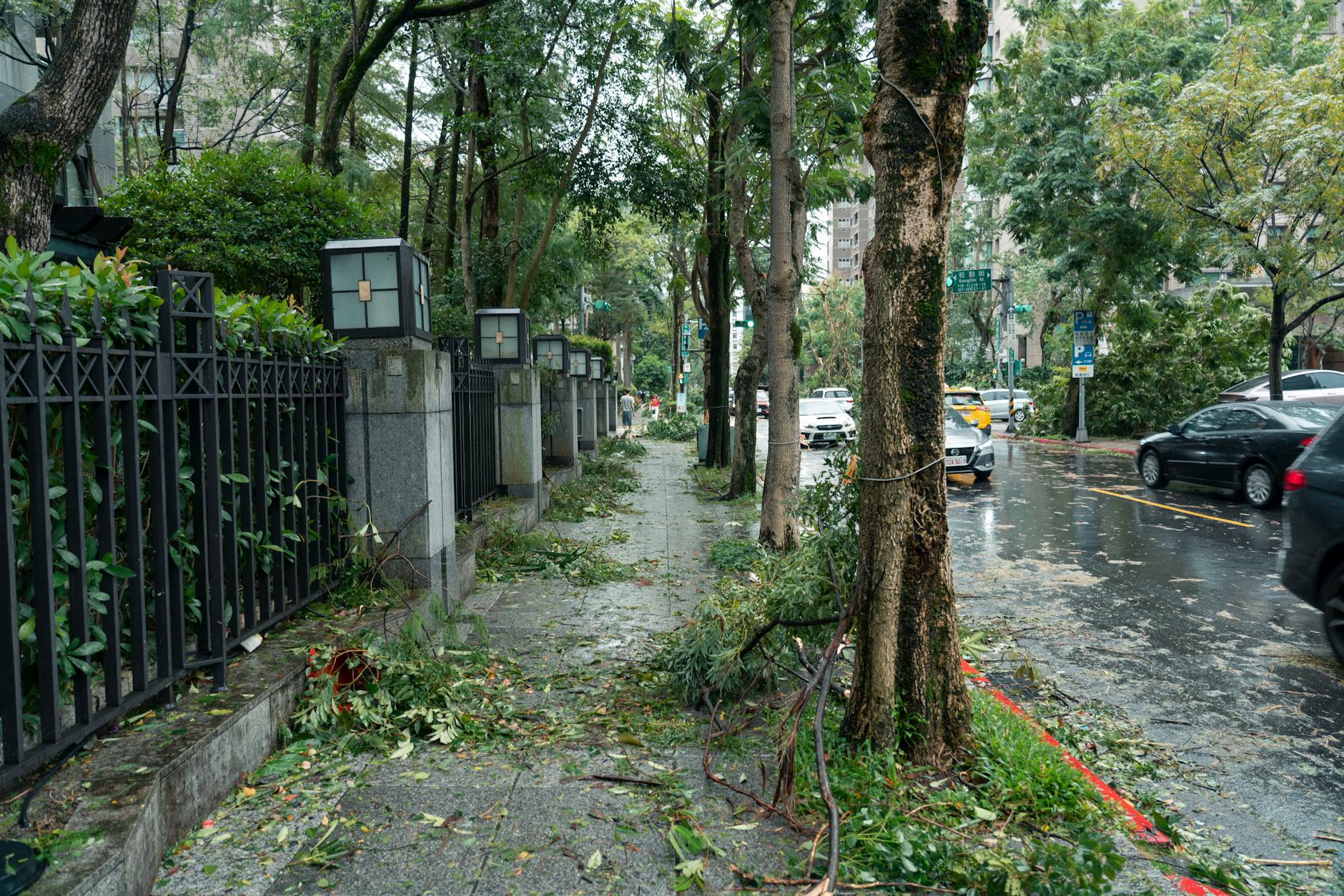 Street in Taipei affected by typhoon showing fallen branches and debris.