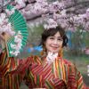 Woman in vibrant kimono holding a fan amidst cherry blossoms in spring.