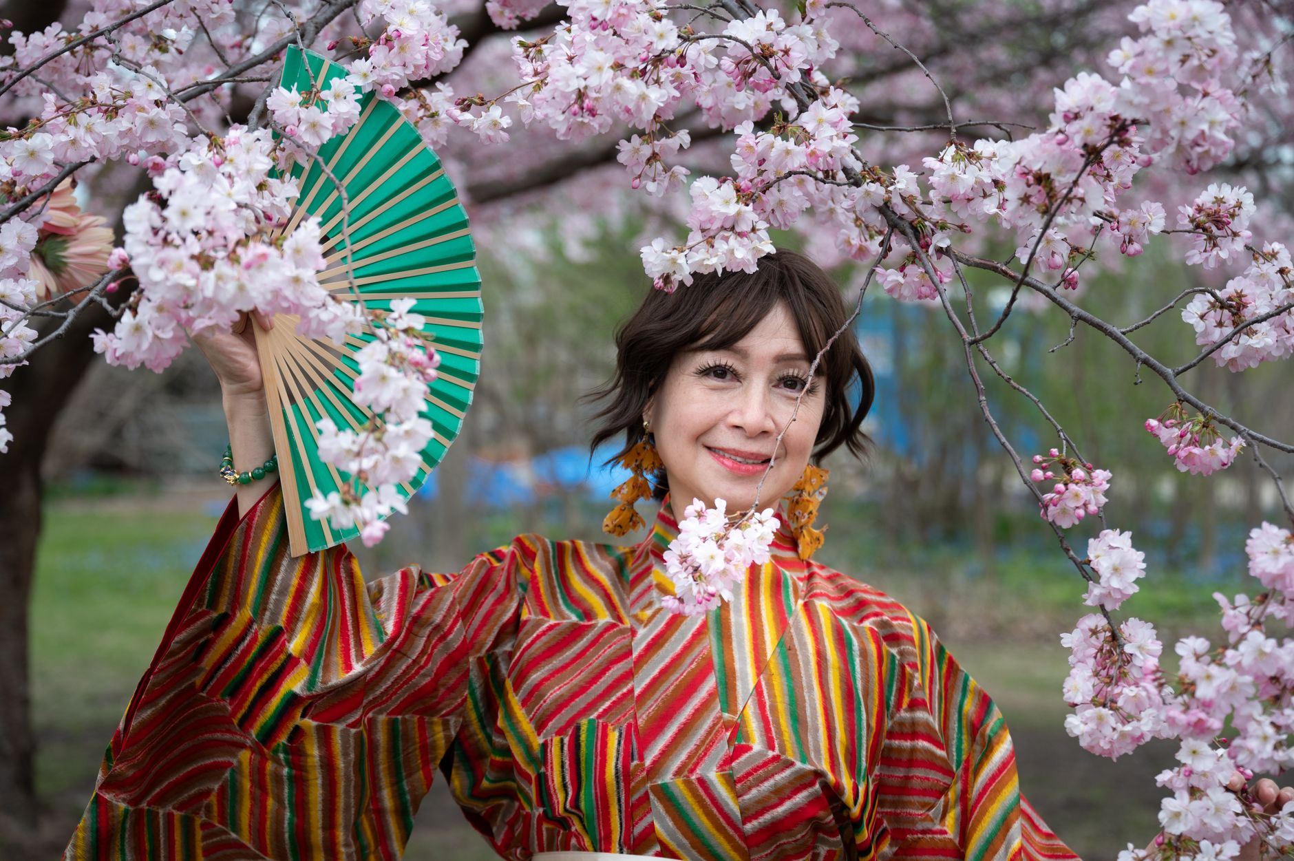 Woman in vibrant kimono holding a fan amidst cherry blossoms in spring.