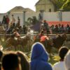 Thrilling cow race with enthusiastic spectators and skilled jockeys in a vibrant outdoor setting.