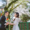 A happy couple sharing a moment under blooming cherry blossoms on a sunny spring day.