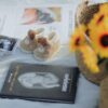 Flat lay of baby shoes, sonogram, and sunflowers, symbolizing pregnancy announcement.